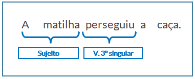 concordância-verba-sujeito-coletivo
